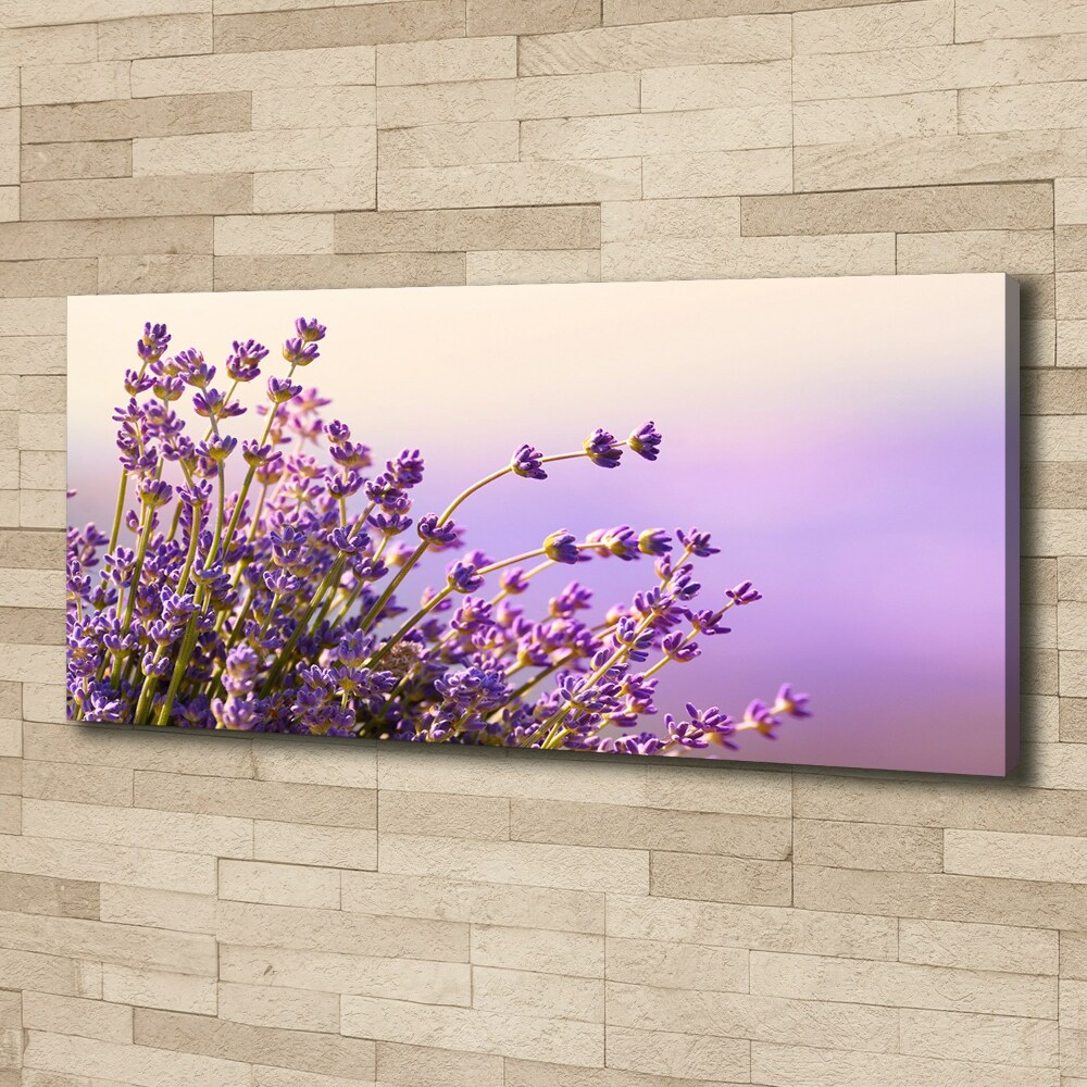 Canvas wall art Lavender