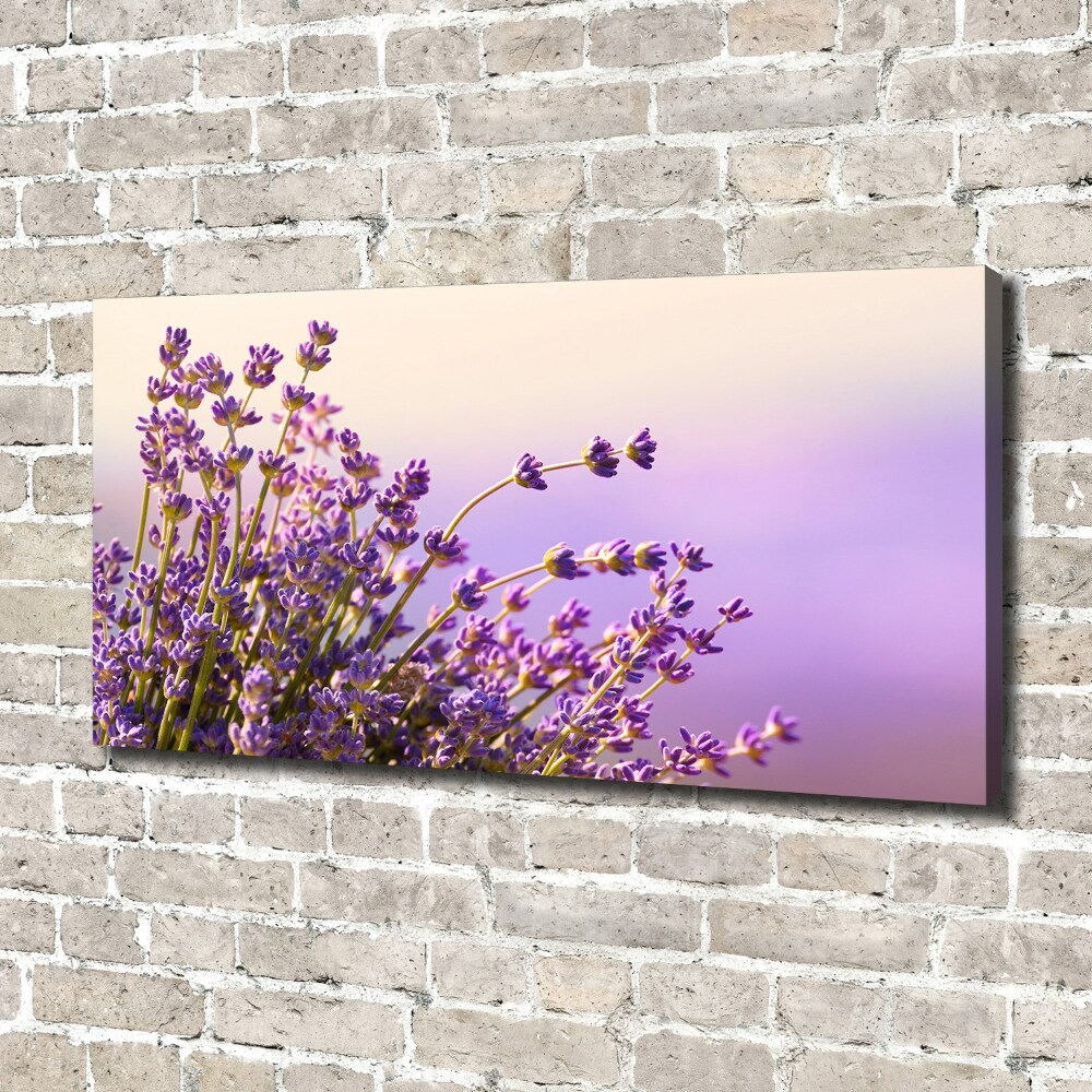 Canvas wall art Lavender