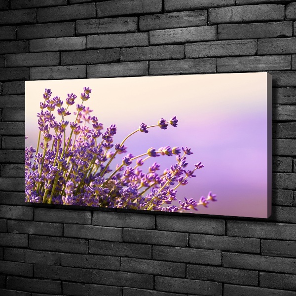 Canvas wall art Lavender