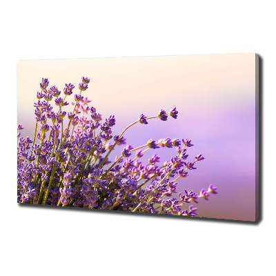 Canvas wall art Lavender