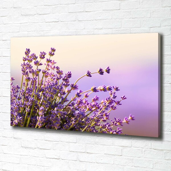 Canvas wall art Lavender