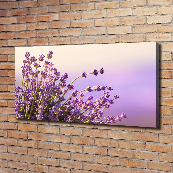 Canvas wall art Lavender