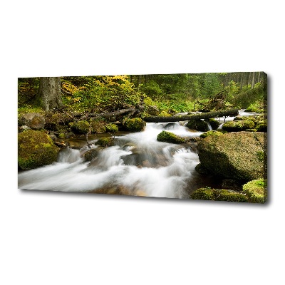 Canvas wall art The stream of Olczyski