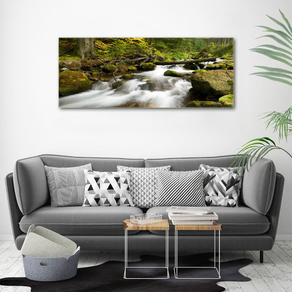 Canvas wall art The stream of Olczyski