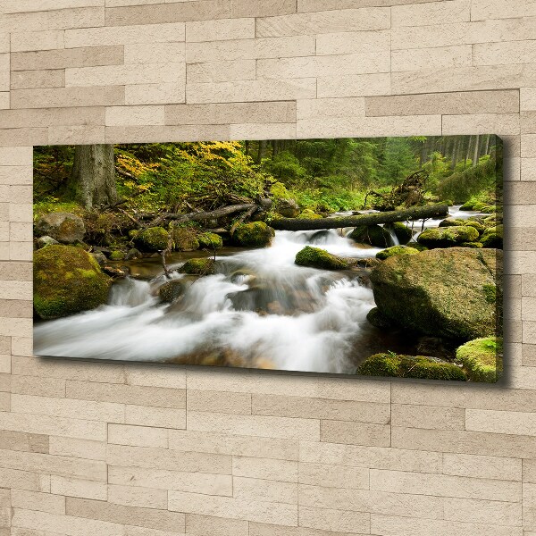 Canvas wall art The stream of Olczyski