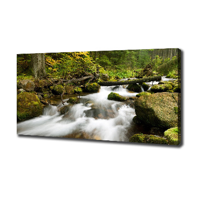 Canvas wall art The stream of Olczyski