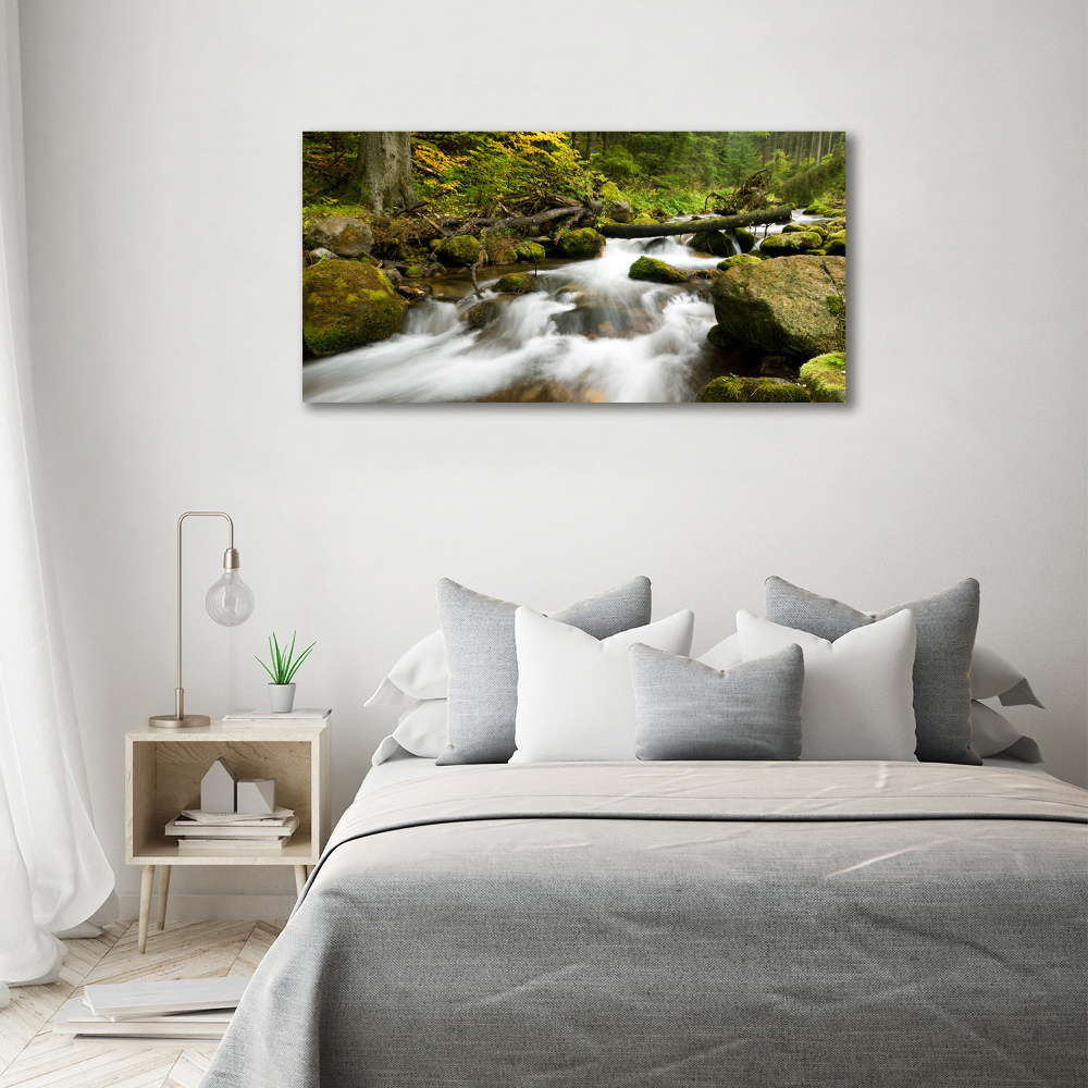 Canvas wall art The stream of Olczyski