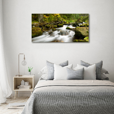 Canvas wall art The stream of Olczyski