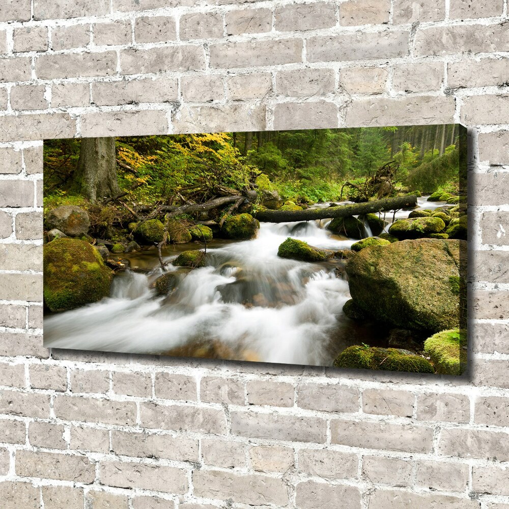 Canvas wall art The stream of Olczyski