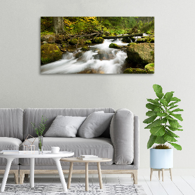 Canvas wall art The stream of Olczyski