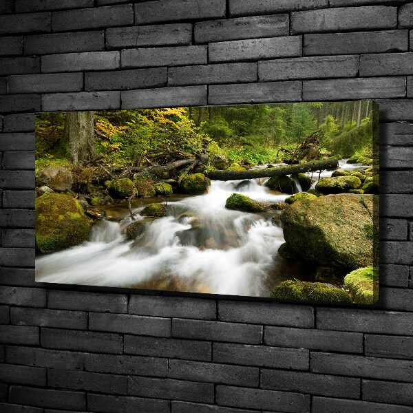 Canvas wall art The stream of Olczyski