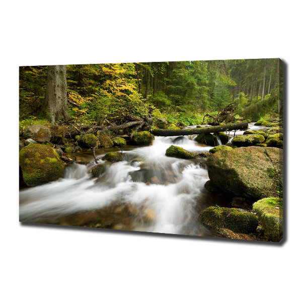 Canvas wall art The stream of Olczyski