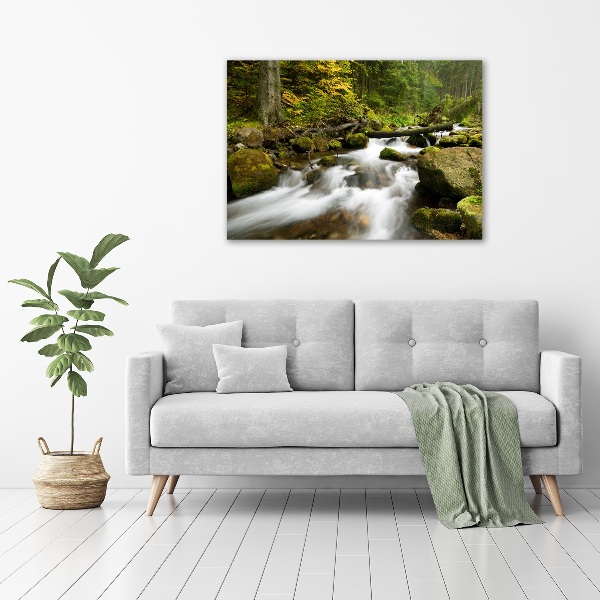 Canvas wall art The stream of Olczyski