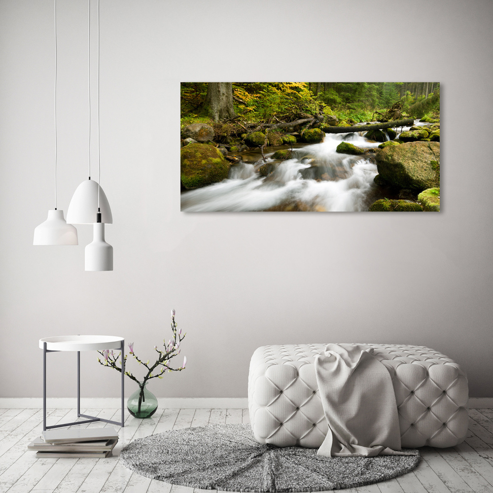 Canvas wall art The stream of Olczyski