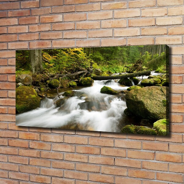 Canvas wall art The stream of Olczyski