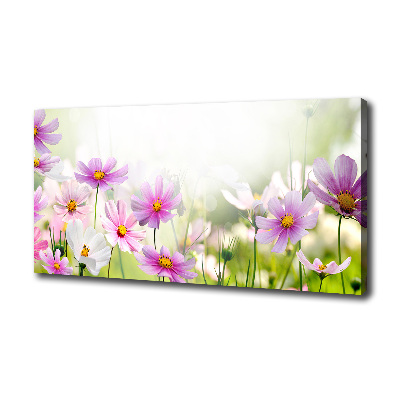 Canvas wall art Flowers in the meadow