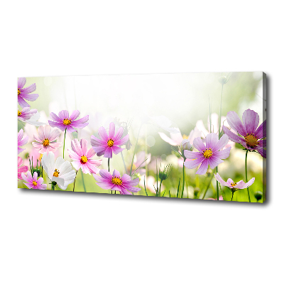 Canvas wall art Flowers in the meadow