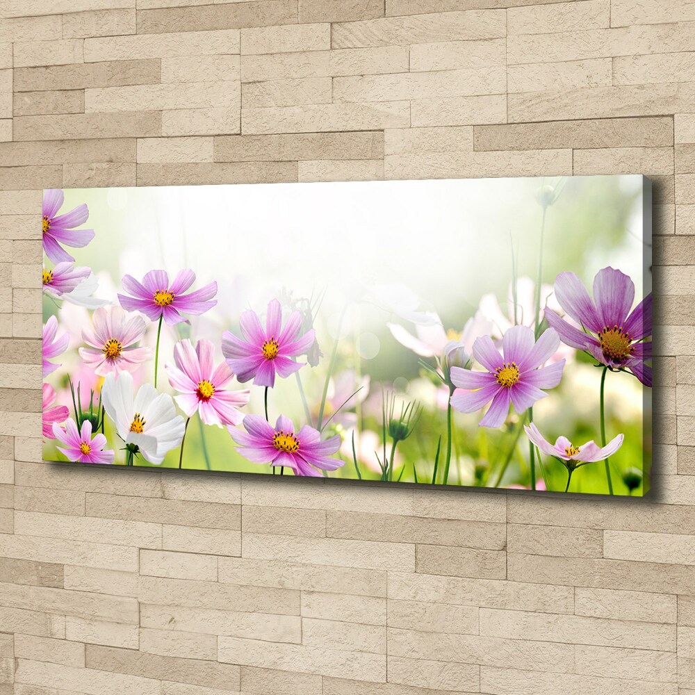 Canvas wall art Flowers in the meadow