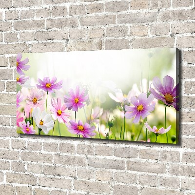 Canvas wall art Flowers in the meadow