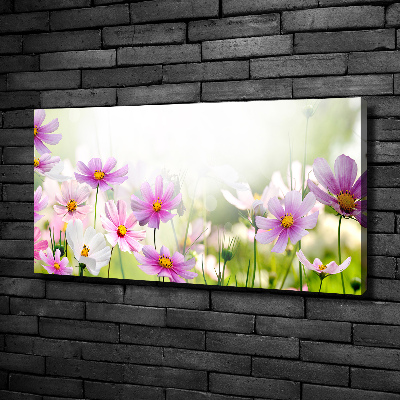 Canvas wall art Flowers in the meadow