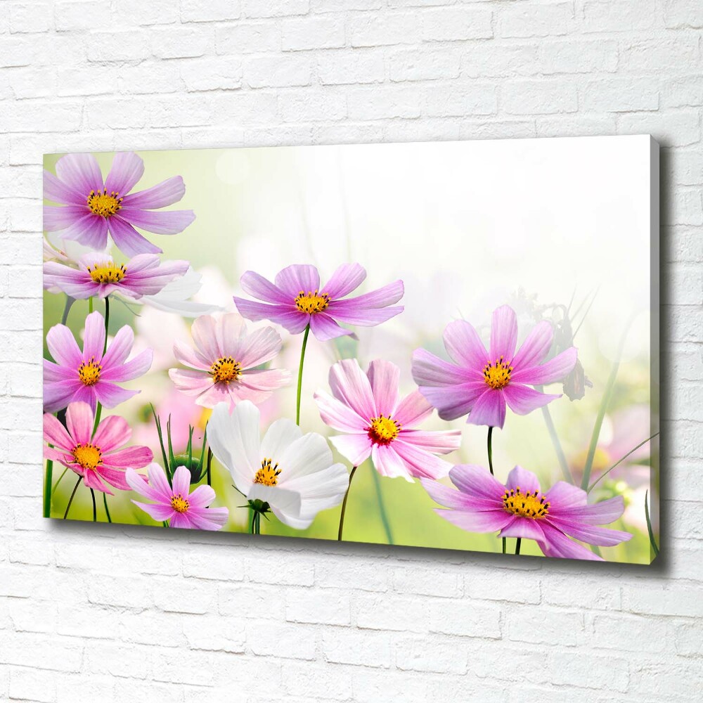 Canvas wall art Flowers in the meadow