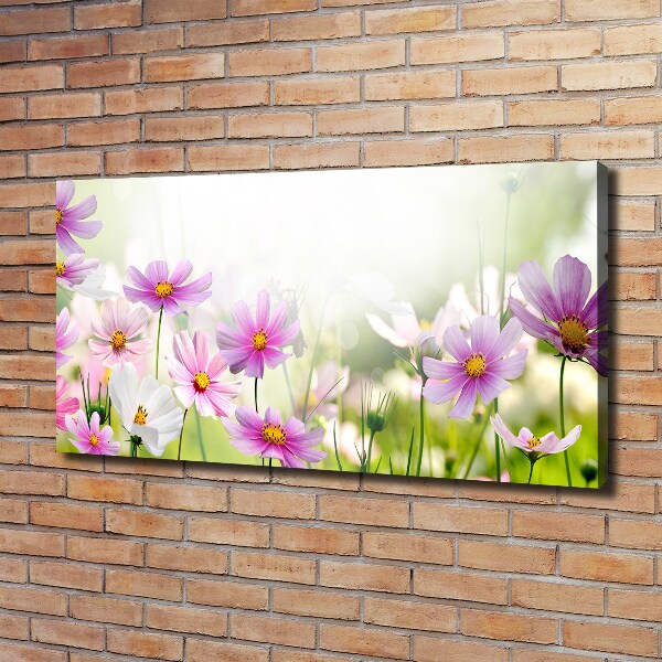 Canvas wall art Flowers in the meadow