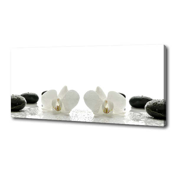 Canvas wall art Orchid