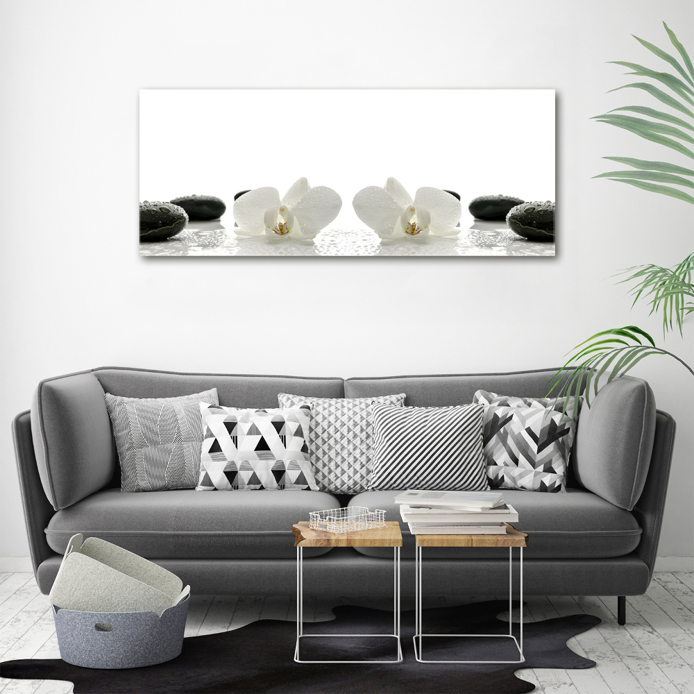 Canvas wall art Orchid