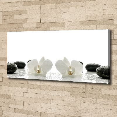 Canvas wall art Orchid