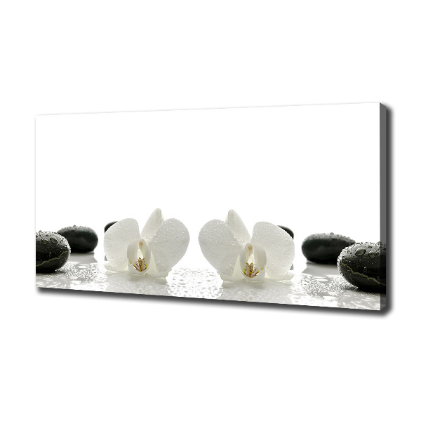 Canvas wall art Orchid