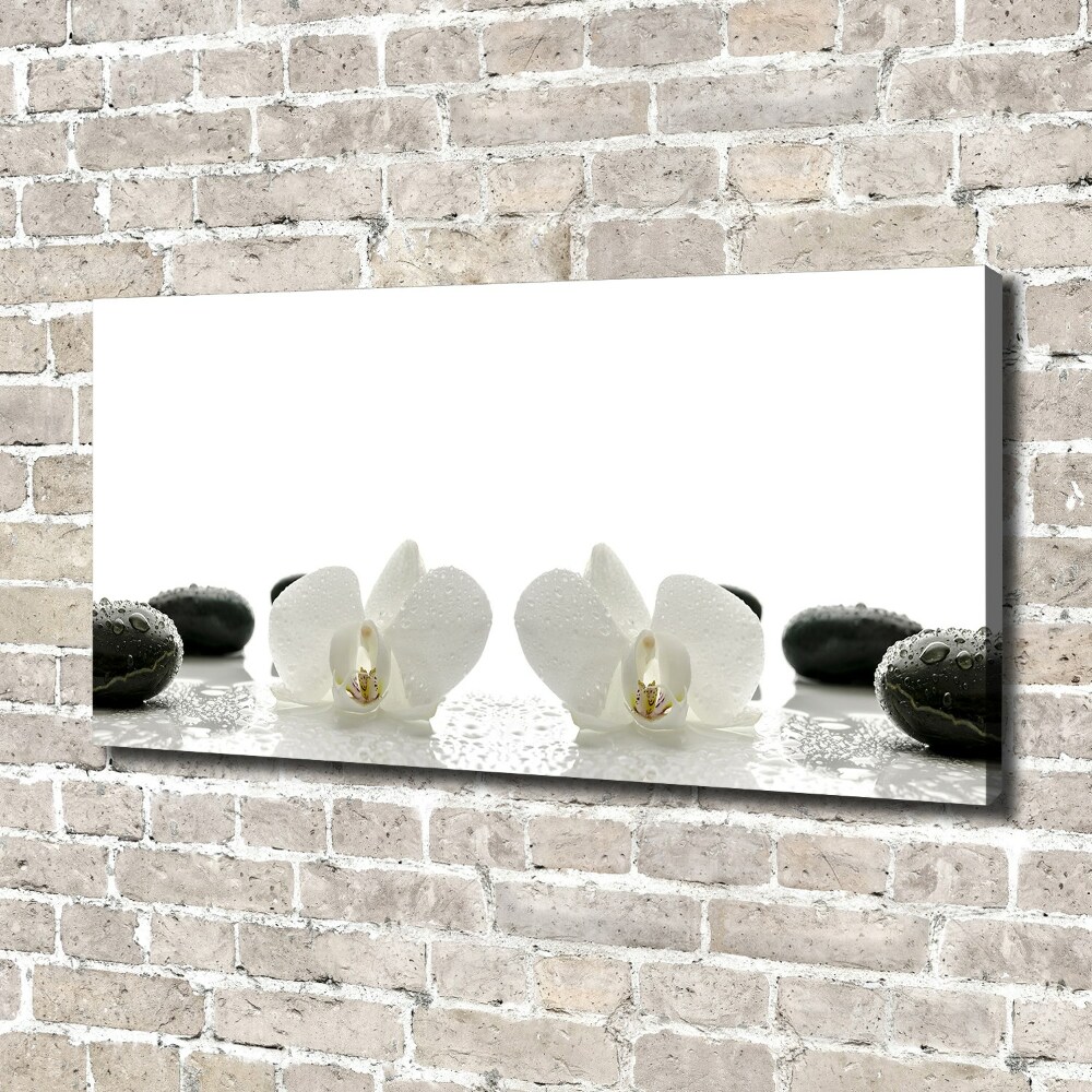 Canvas wall art Orchid