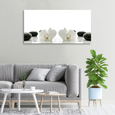 Canvas wall art Orchid