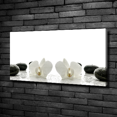 Canvas wall art Orchid