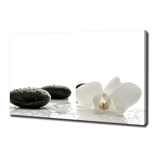 Canvas wall art Orchid