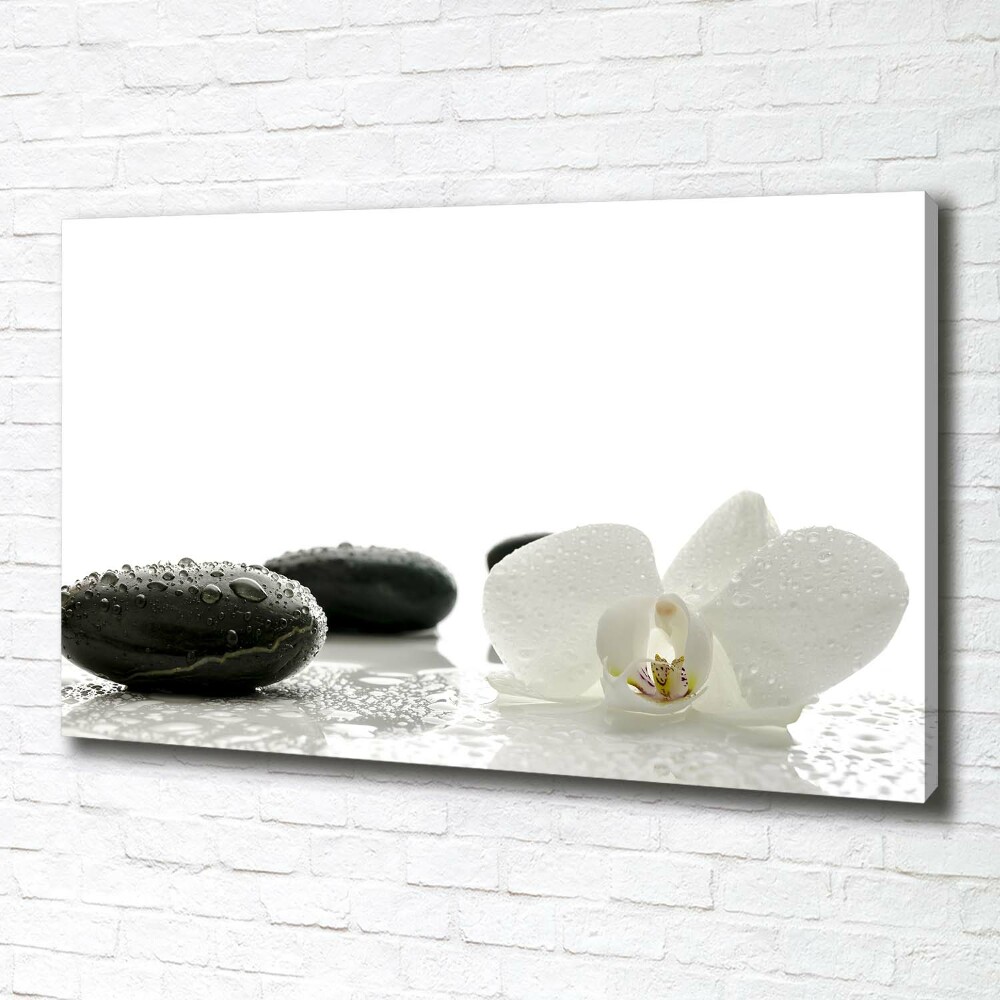 Canvas wall art Orchid