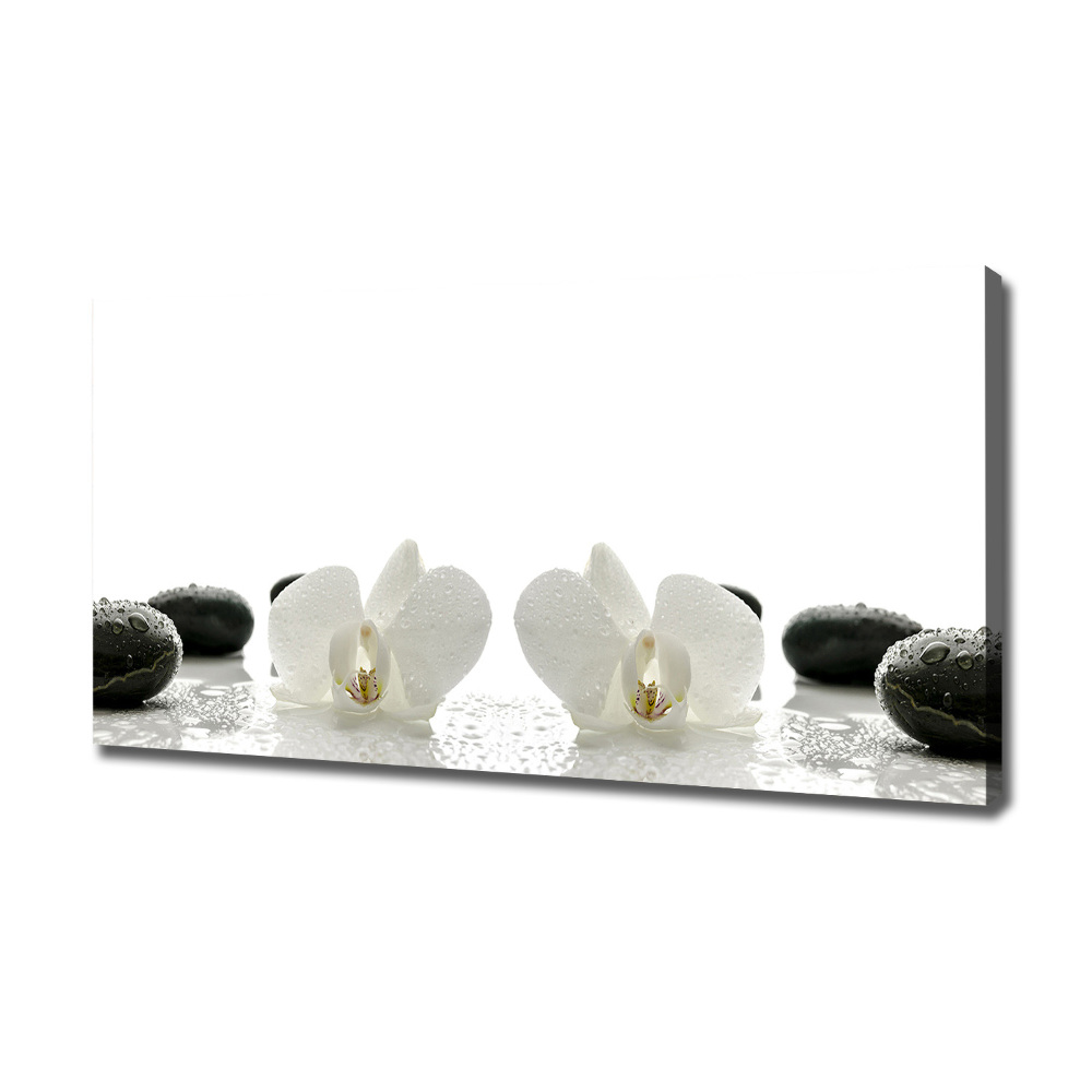 Canvas wall art Orchid