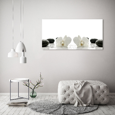 Canvas wall art Orchid