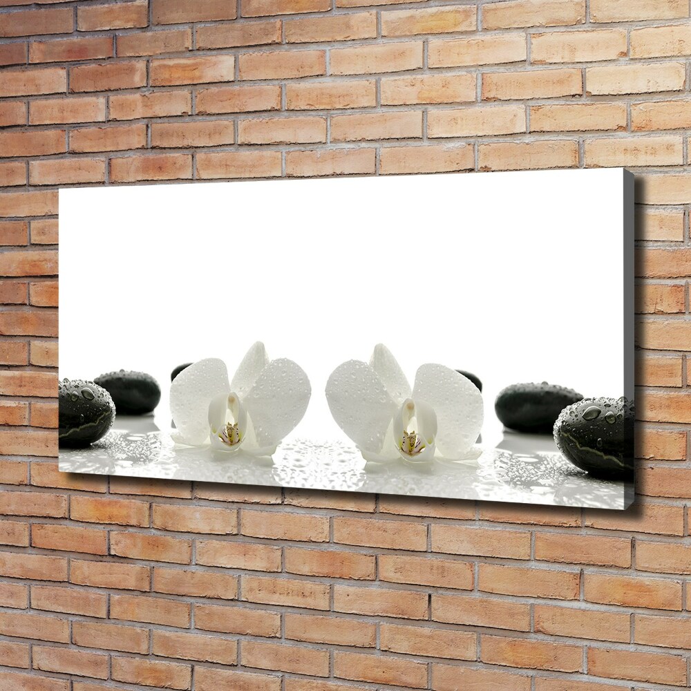 Canvas wall art Orchid