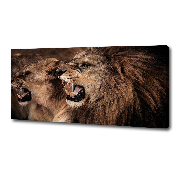 Canvas wall art Roaring lions