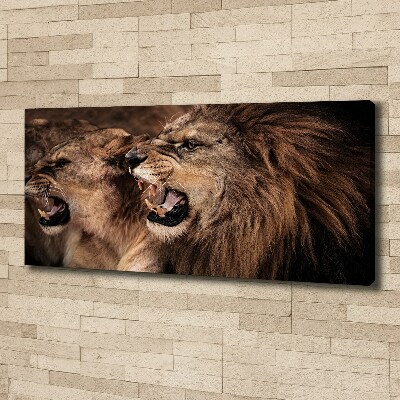 Canvas wall art Roaring lions