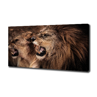 Canvas wall art Roaring lions