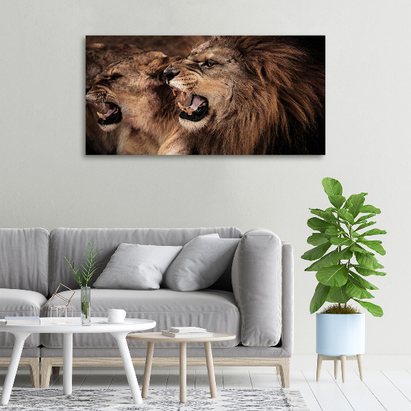 Canvas wall art Roaring lions