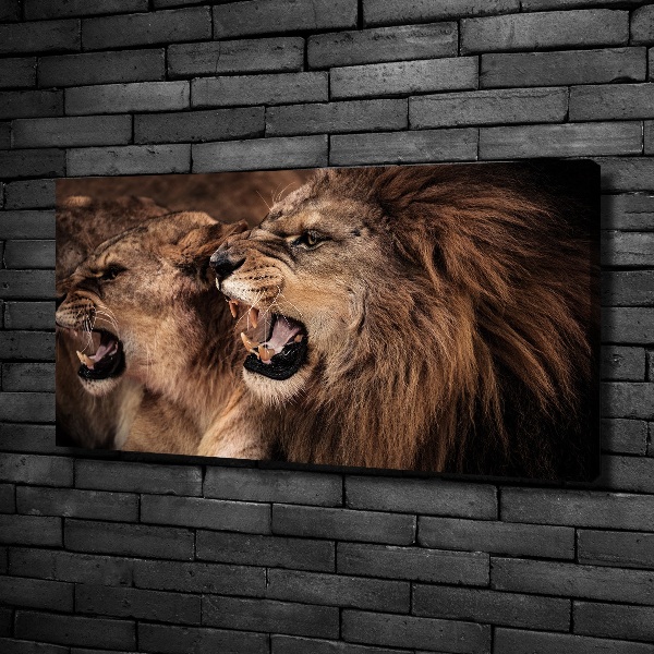 Canvas wall art Roaring lions