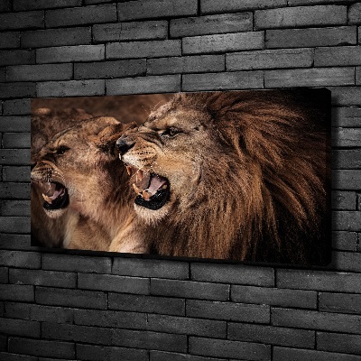 Canvas wall art Roaring lions