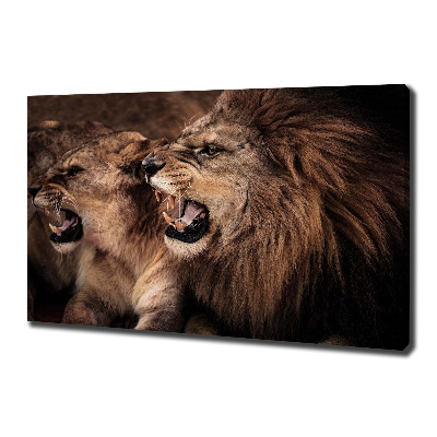 Canvas wall art Roaring lions