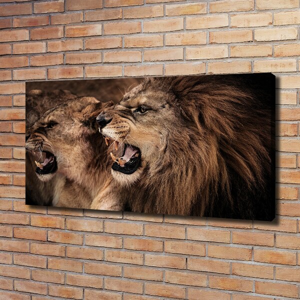 Canvas wall art Roaring lions