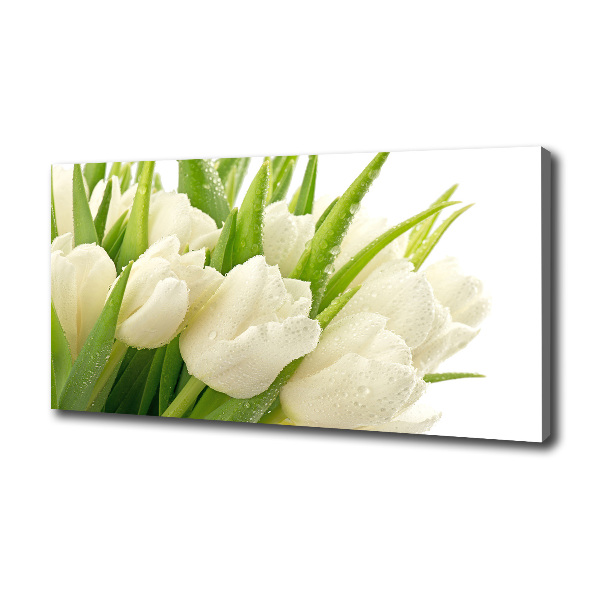 White tulips