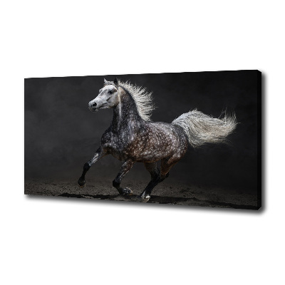 Canvas wall art Gray Arabian horse