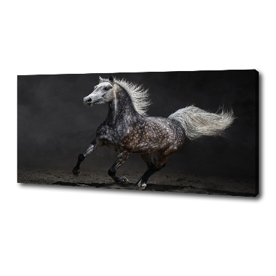 Canvas wall art Gray Arabian horse