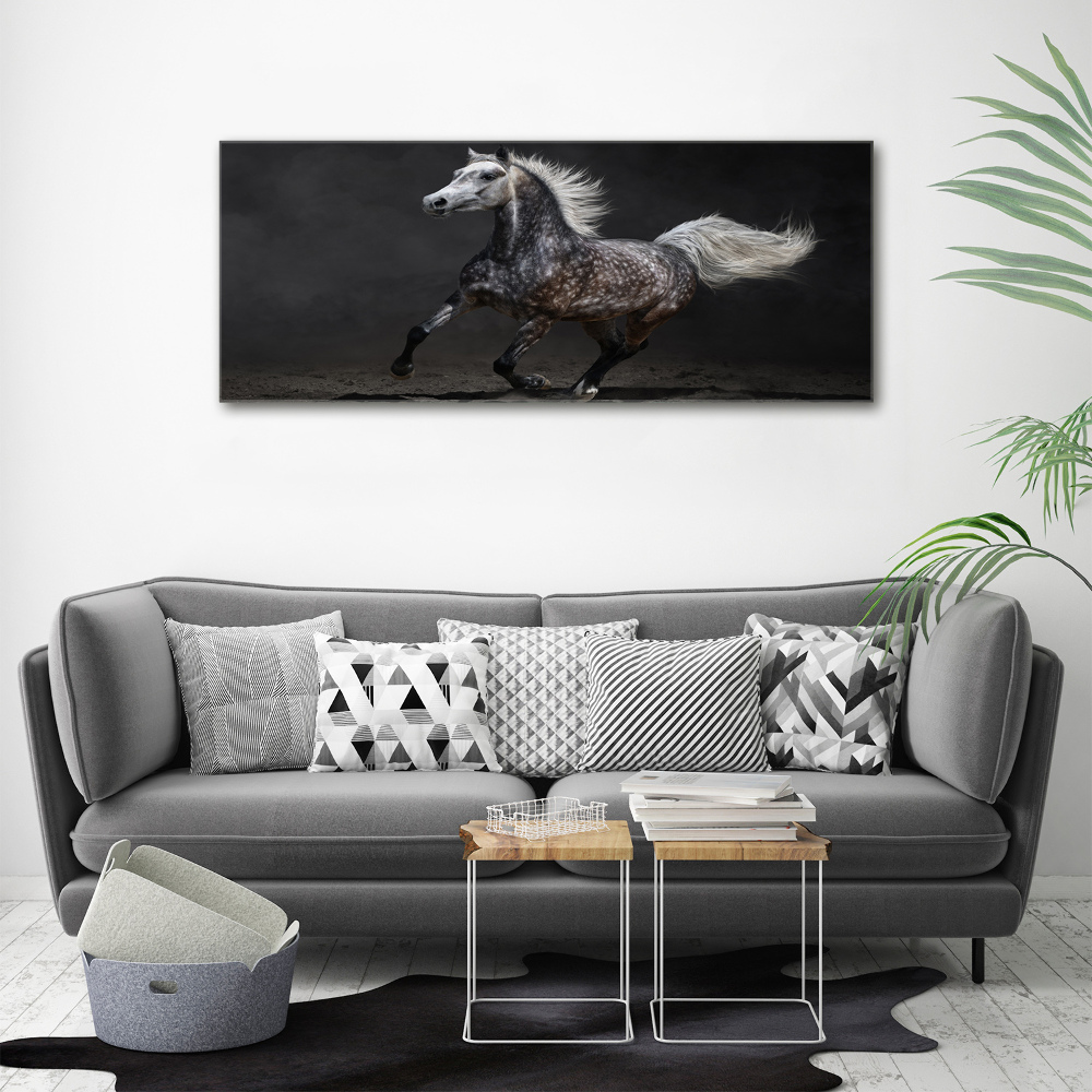 Canvas wall art Gray Arabian horse